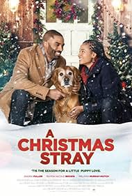 A Christmas Stray (2021) watch-A Christmas Stray (2021)