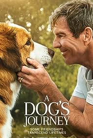 A Dog's Journey (2019) watch-A Dog's Journey (2019)