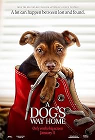A Dog's Way Home (2019) watch-A Dog's Way Home (2019)