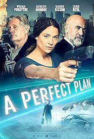 watch-A Perfect Plan (2020)