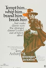 watch-A Stranger in Town (1967)