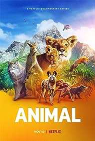 Animal (2021) watch-Animal (2021)