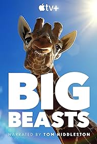 watch-Big Beasts (2023)