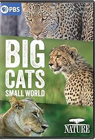 watch-Big Cats, Small World (2024)