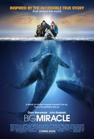 Big Miracle (2012) watch-Big Miracle (2012)