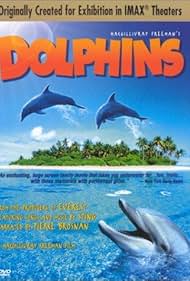 Dolphins (2000) watch-Dolphins (2000)