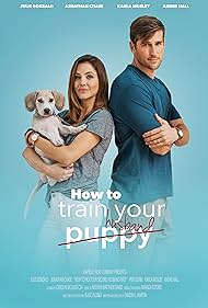 watch-How to Train Your Husband or (How to Pick Your Second Husband First) (2018)