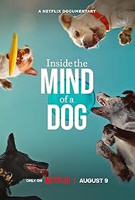 Inside the Mind of a Dog (2024) watch-Inside the Mind of a Dog (2024)