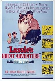 Lassie's Great Adventure (1963) watch-Lassie's Great Adventure (1963)