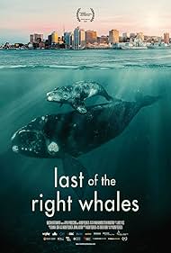 Last of the Right Whales (2021) watch-Last of the Right Whales (2021)