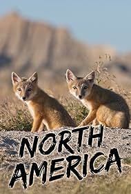 watch-North America (2013)