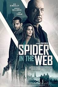 Spider in the Web (2019) watch-Spider in the Web (2019)