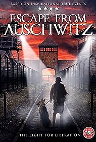The Escape from Auschwitz (2020) watch-The Escape from Auschwitz (2020)