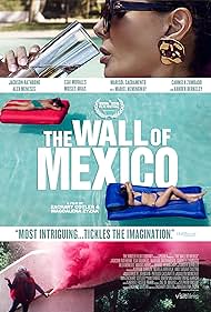 The Wall of Mexico (2020) watch-The Wall of Mexico (2020)