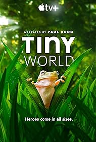 watch-Tiny World (2020)