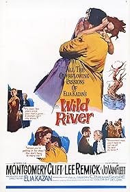 Wild River (1960) watch-Wild River (1960)