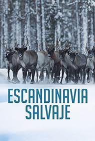 watch-Wild Scandinavia (2023)