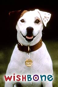 Wishbone (1995) watch-Wishbone (1995)