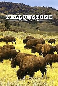 watch-Yellowstone (2009)